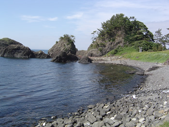 美しい越前海岸が目の前