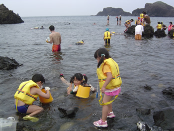 磯の生物観察会の様子