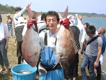 磯の生物観察会の様子