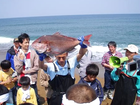 磯の生物観察会の様子