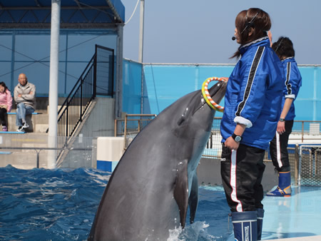 当館で生まれたラボちゃん