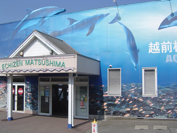 越前松島水族館