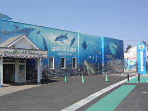 越前松島水族館