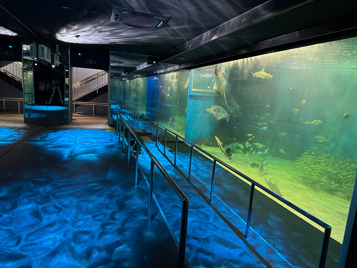 大水槽展示室