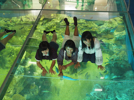 海洋館