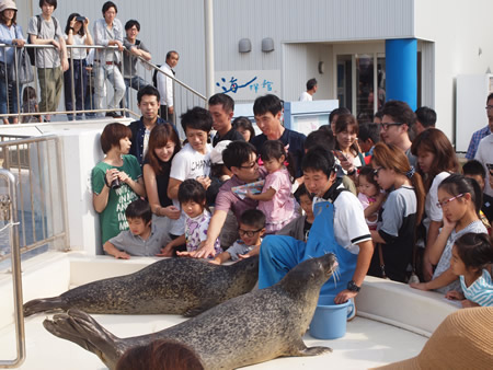 さわってみよう！