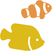 越前松島水族館 海の生き物