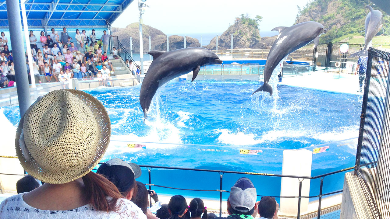 越前松島水族館