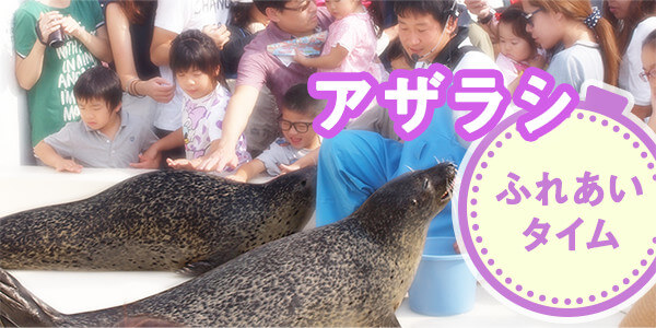 越前松島水族館のみどころ