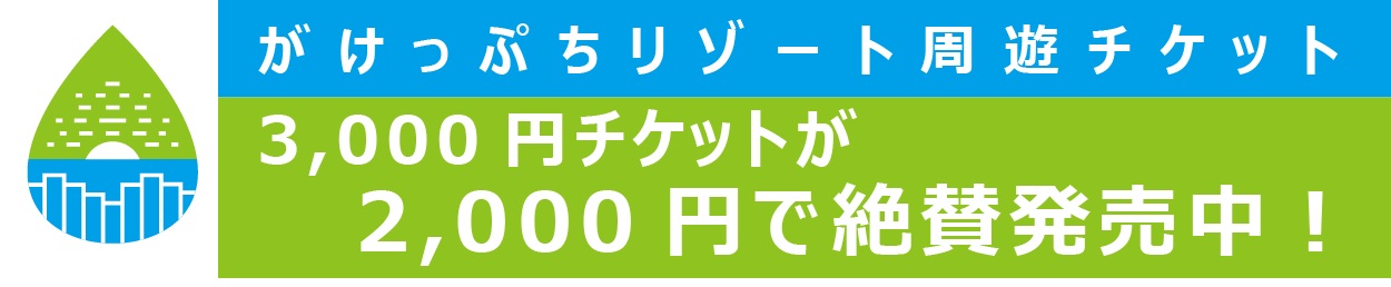 がけっぷちリゾート周遊チケット2019