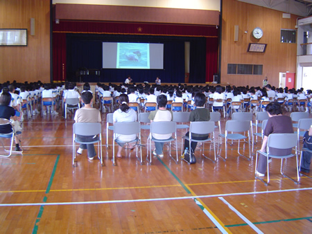 野生動物保護基金