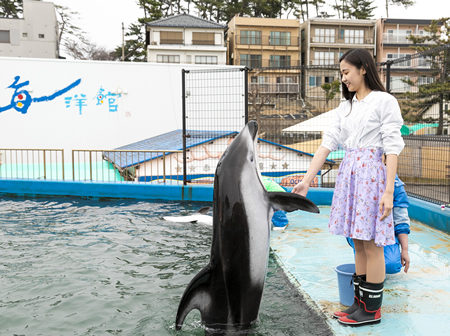 握手をすることができます